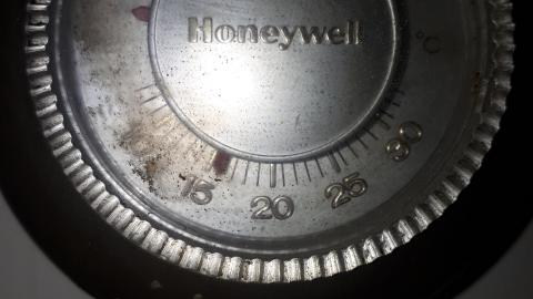 All the animals come to this Harvard - 20210524_143302.jpg