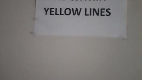 All the animals come to this Harvard - 20210524_143217.jpg