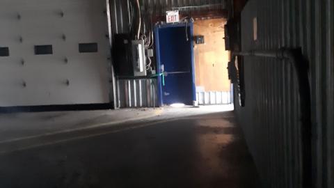 All the animals come to this Harvard - 20210524_143152.jpg