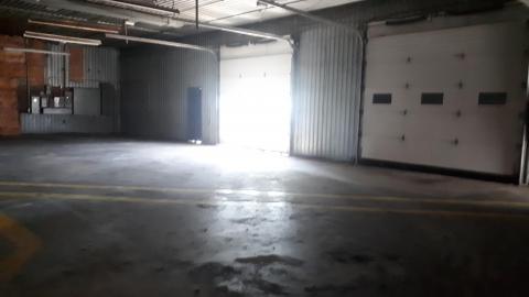 All the animals come to this Harvard - 20210524_143145.jpg