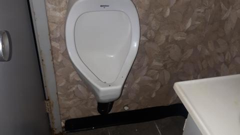 All the animals come to this Harvard - 20210524_142204.jpg