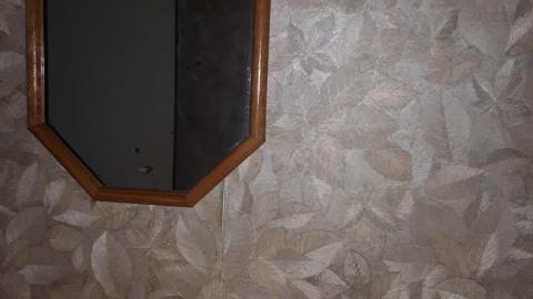 All the animals come to this Harvard - 20210524_142151.jpg