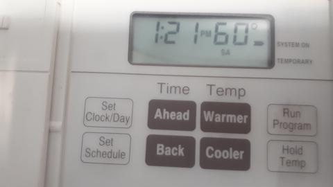 All the animals come to this Harvard - 20210524_142059.jpg