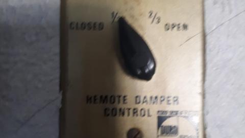 All the animals come to this Harvard - 20210524_142051.jpg