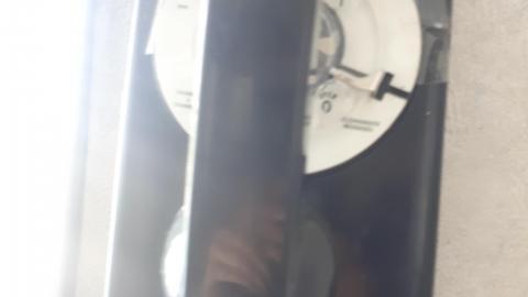 All the animals come to this Harvard - 20210524_141308.jpg