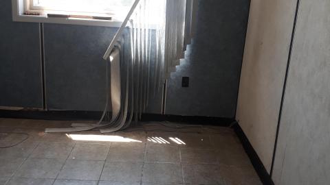 All the animals come to this Harvard - 20210524_141234.jpg