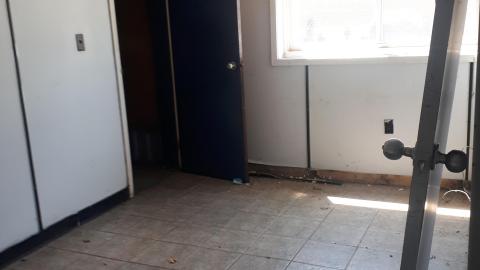 All the animals come to this Harvard - 20210524_141226.jpg