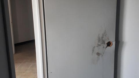 All the animals come to this Harvard - 20210524_141157.jpg