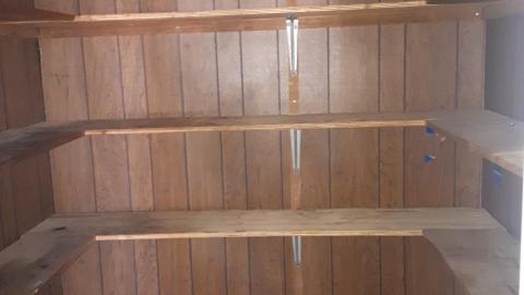 All the animals come to this Harvard - 20210524_141143.jpg