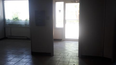 All the animals come to this Harvard - 20210524_141128.jpg