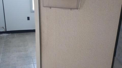 All the animals come to this Harvard - 20210524_141117.jpg