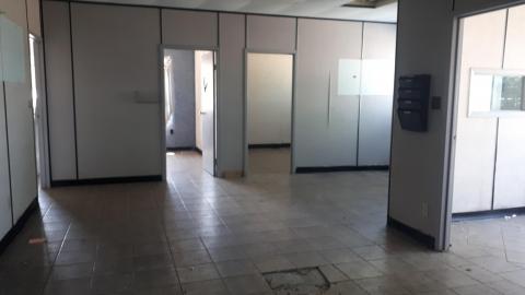 All the animals come to this Harvard - 20210524_141104.jpg