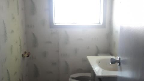 All the animals come to this Harvard - 20210524_141009.jpg