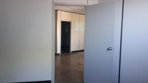 All the animals come to this Harvard - 20210524_140940.jpg