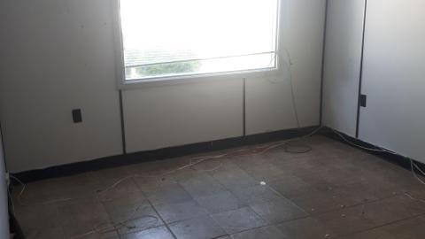 All the animals come to this Harvard - 20210524_140834.jpg