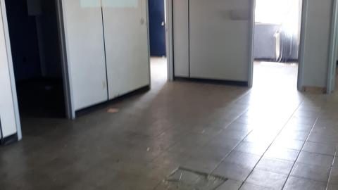 All the animals come to this Harvard - 20210524_140656.jpg