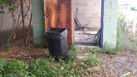 All the animals come to this Harvard - 20210524_162042.jpg