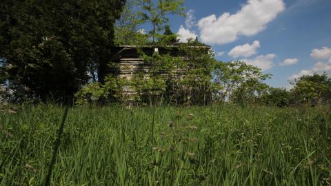 PAUL WALKER 4EVR! - IMG_0152.JPG