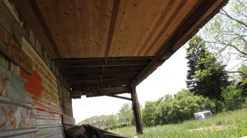 PAUL WALKER 4EVR! - IMG_0133.JPG