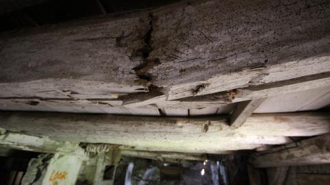 PAUL WALKER 4EVR! - IMG_0131.JPG