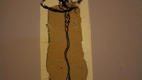 Naw Brooooo, Dont Get Mad. PARTY ON! - IMG_1862.JPG