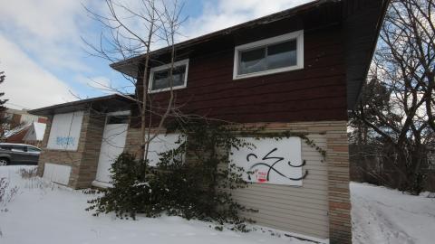 JAN 2021 - IMG_6757.JPG