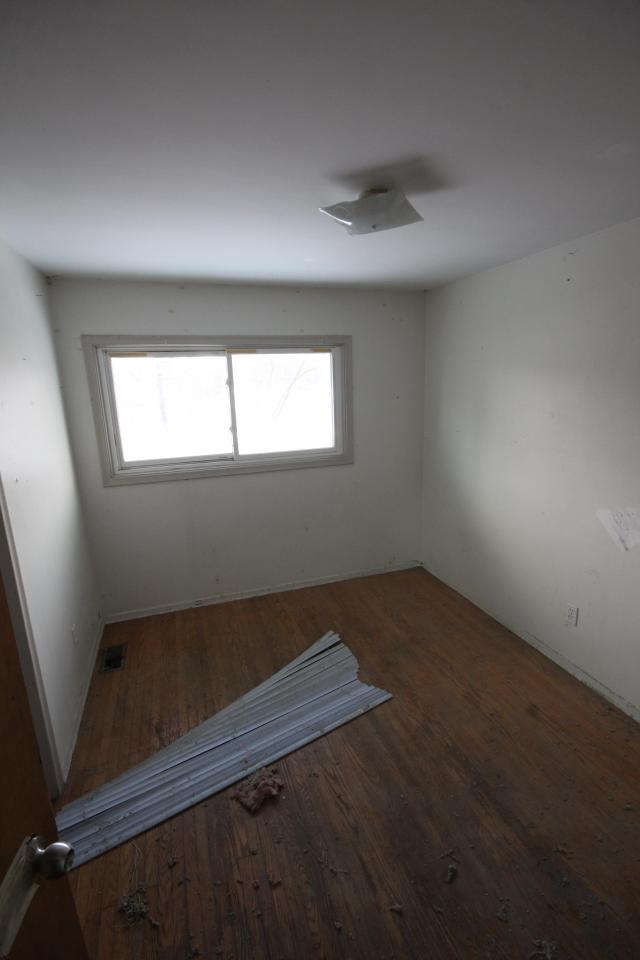 Light For Days photo 5