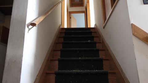 Light For Days photo 3