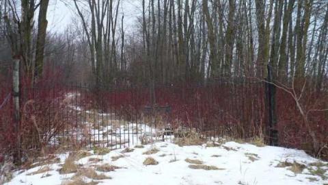 Migratory - Migrant-camp31.jpg