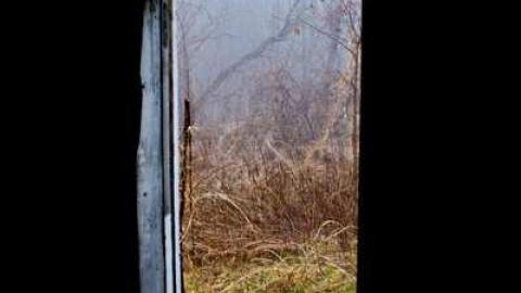 Foggy '12 visit - David-Whaley-House9.jpg