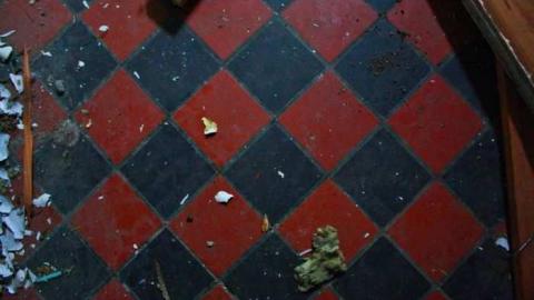 Foggy '12 visit - David-Whaley-House1.jpg