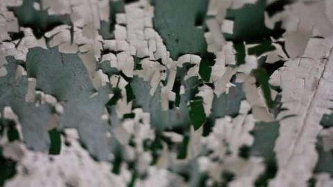 Foggy '12 visit - David-Whaley-House12.jpg