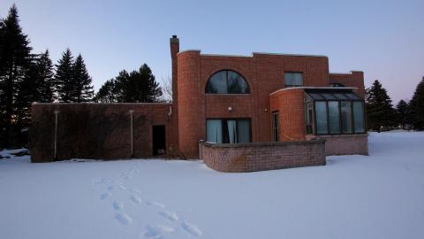 Photo from Did The Arborist Get Fired? FEB 2021