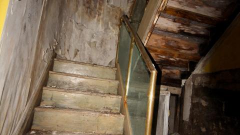 Photo from Did The Arborist Get Fired? FEB 2021