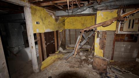 Did The Arborist Get Fired? FEB 2021 - IMG_8110.JPG