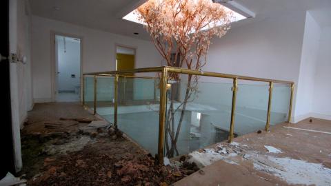 Did The Arborist Get Fired? FEB 2021 - IMG_8106.JPG