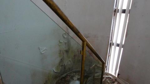 Did The Arborist Get Fired? FEB 2021 - IMG_8105.JPG