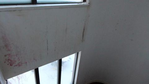 Did The Arborist Get Fired? FEB 2021 - IMG_8104.JPG