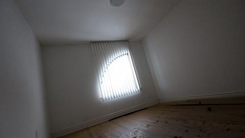 Did The Arborist Get Fired? FEB 2021 - IMG_8101.JPG