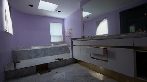 Did The Arborist Get Fired? FEB 2021 - IMG_8093.JPG