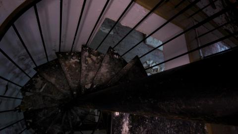 Did The Arborist Get Fired? FEB 2021 - IMG_8092.JPG