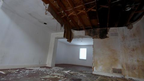 Did The Arborist Get Fired? FEB 2021 - IMG_8087.JPG