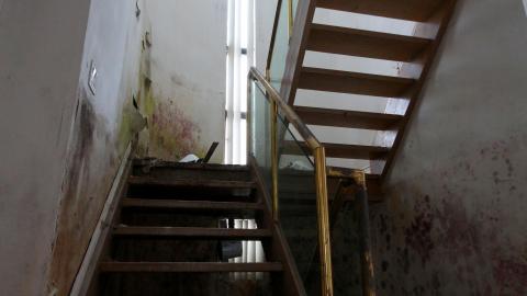 Did The Arborist Get Fired? FEB 2021 - IMG_8085.JPG