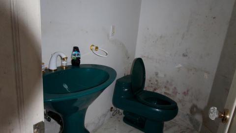 Did The Arborist Get Fired? FEB 2021 - IMG_8084.JPG