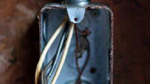 Photo from Foggy '12 visit