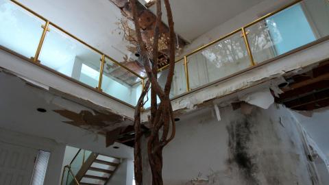 Did The Arborist Get Fired? FEB 2021 - IMG_8081.JPG