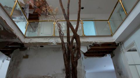 Did The Arborist Get Fired? FEB 2021 cover photo