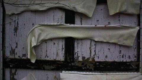 Photo from Foggy '12 visit