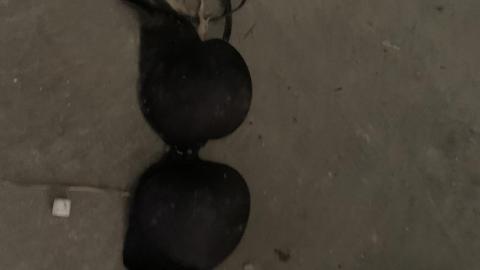 BMW and Boat - IMG_6552.JPG