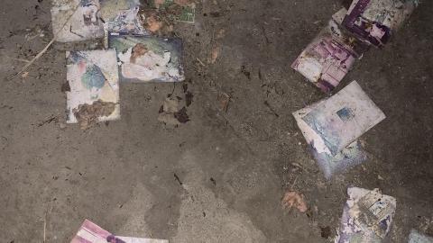 Photo from BMW and Boat